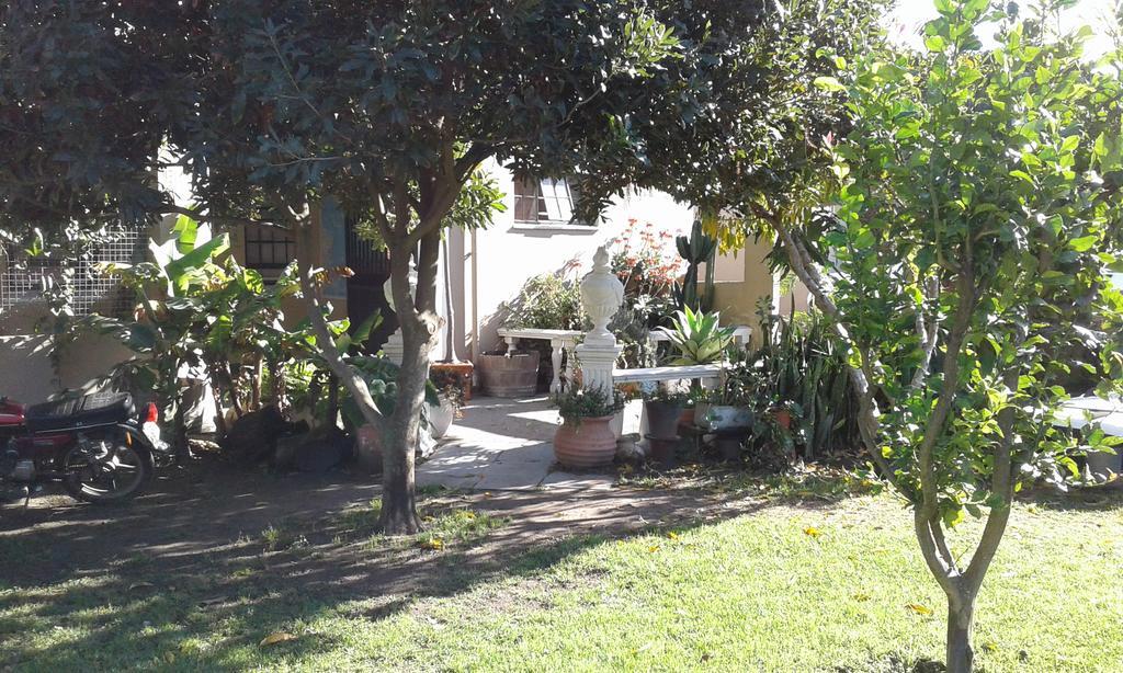 Riverlodge Backpackers Cape Town Luaran gambar